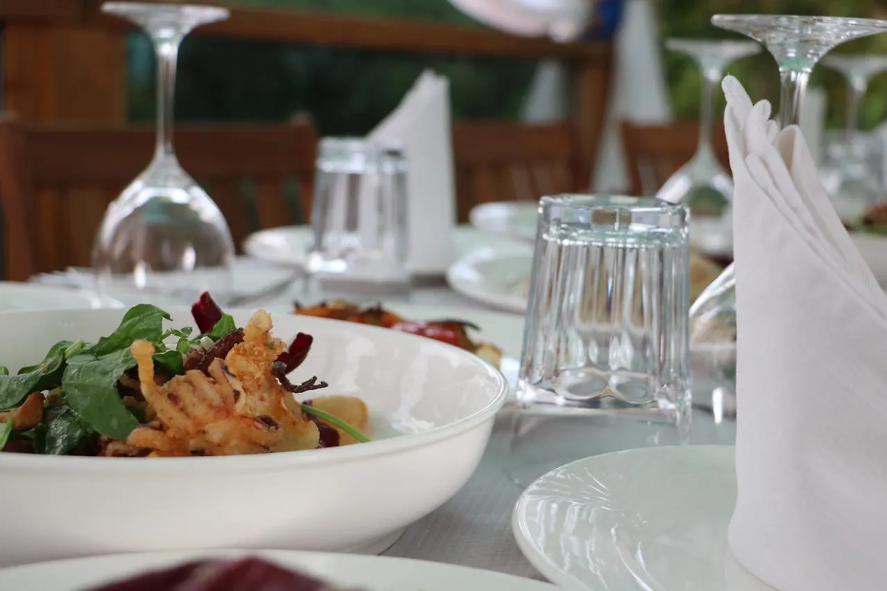 Orchidea Hotel Tirana Albanie